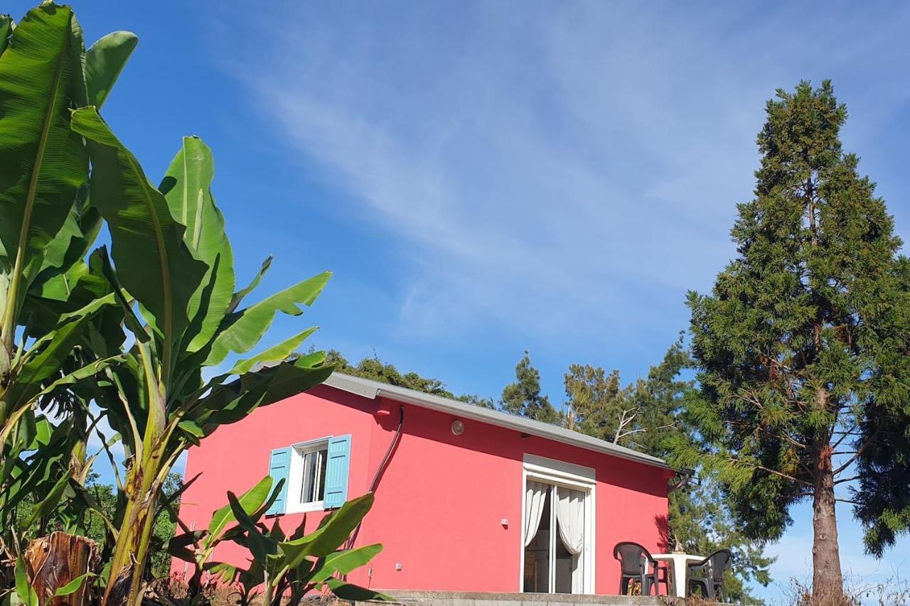 Au Coeur Des Plantations Guest House La Possession Eksteriør bilde